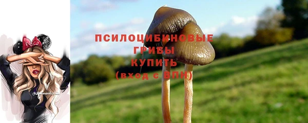метадон Зеленокумск