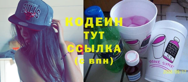 твердый Иннополис