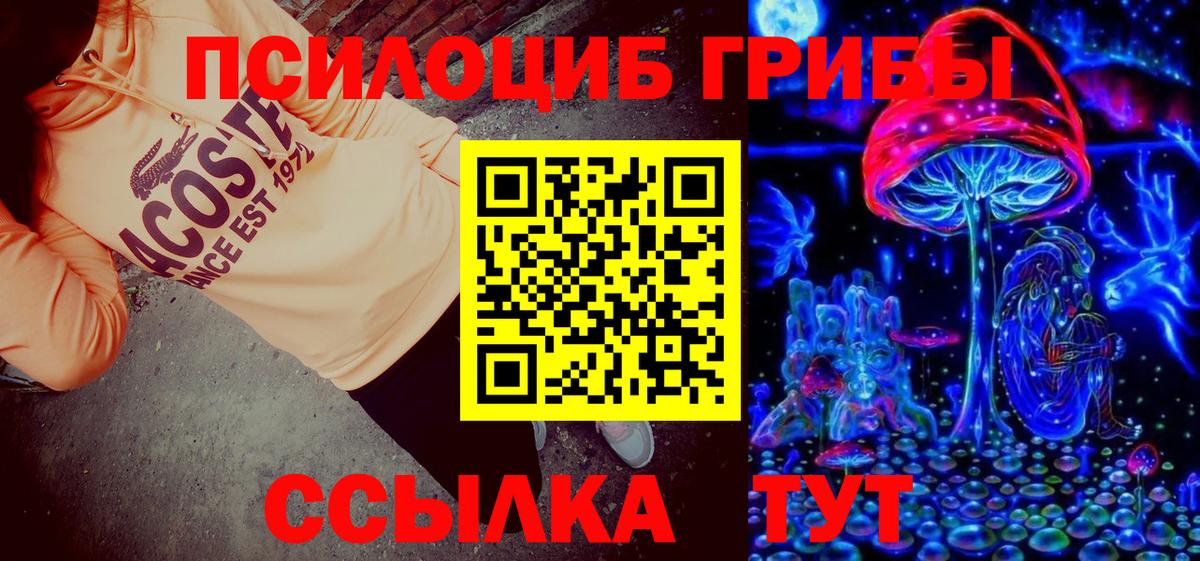 Тула  как найти   Вход с VPN  Псилоцибиновые грибы мухоморы 